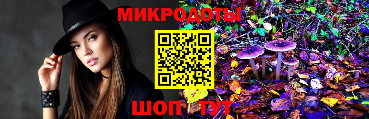 Псилоцибиновые грибы Psilocybe Ставрополь